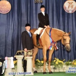 THESEIRONSRSTRAIT - Out of Barbies Strait To You